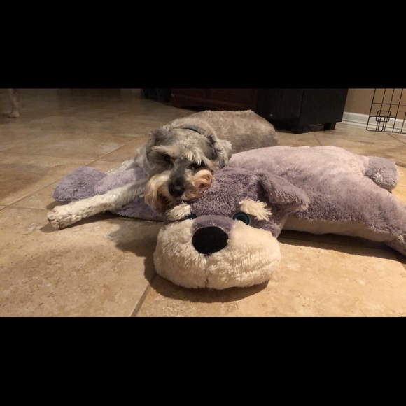 Meet your Posher, Angelina - Picture 2 of 3